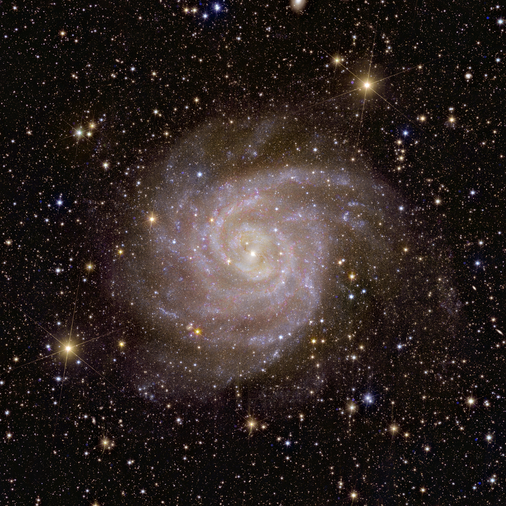Euclid's View of Spiral Galaxy IC 342