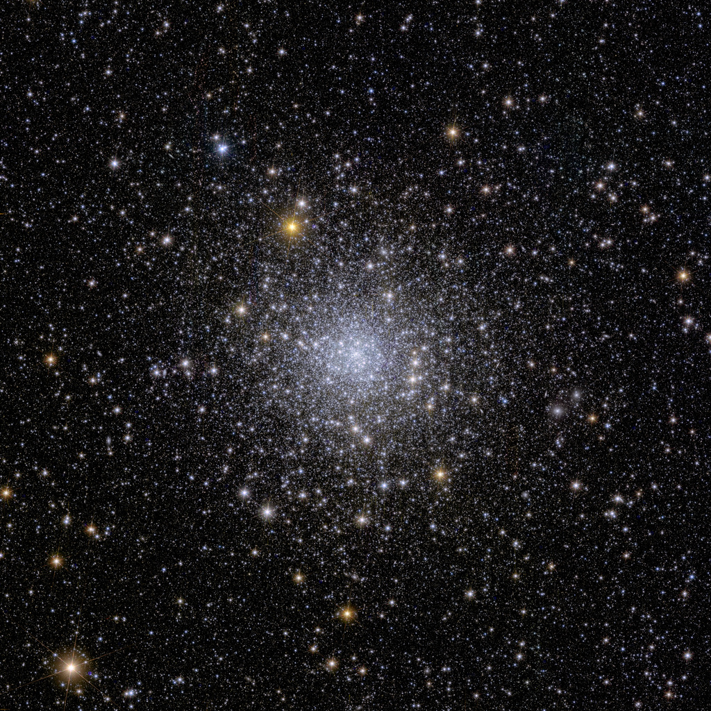 Euclid’s view of globular cluster NGC 6397